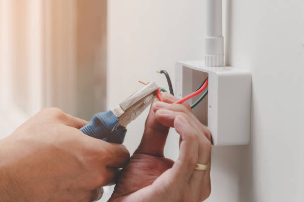 Best Electrical Safety Inspections  in Elmendorf, TX